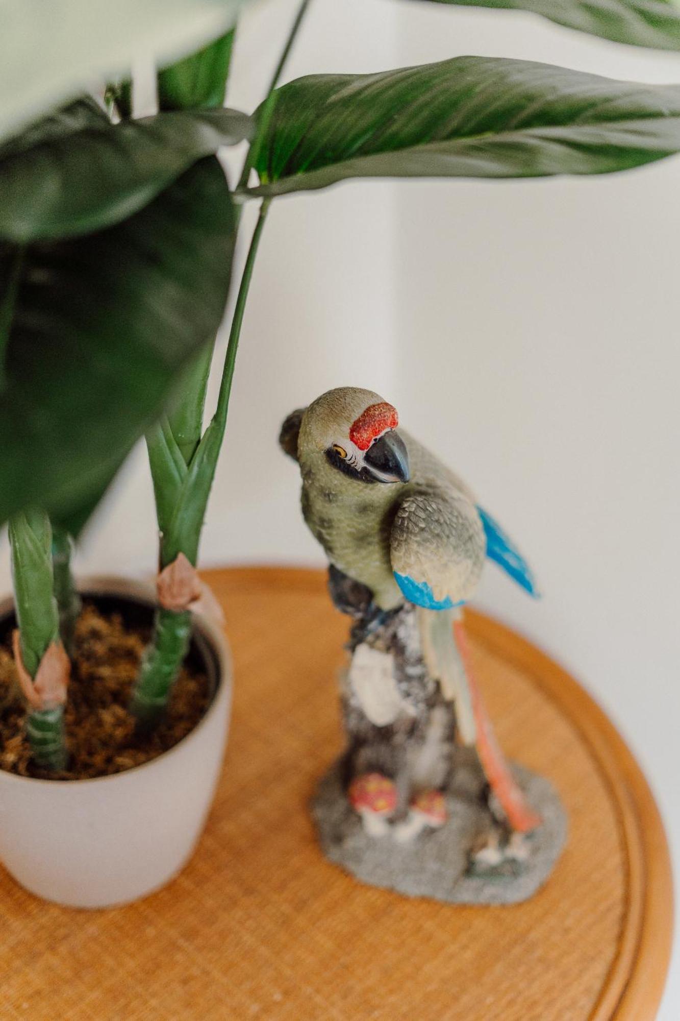 ローマ L'Agataヴィラ エクステリア 写真